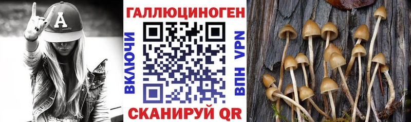 KRAKEN рабочий сайт  мориарти состав  Галлюциногенные грибы Psilocybine cubensis  Богучар 